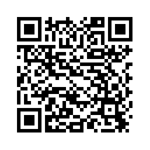 Безвизовый режим открывает новую главу в культурном обмене между Китаем и Россией