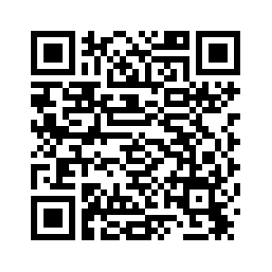 МИД КНР: Япония не имеет права стать постоянным членом Совета Безопасности ООН /подробная версия-1/
