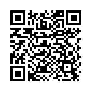 За первые десять месяцев 2025 года внешнеторговый оборот г. Гуанчжоу со странами-участницами инициативы "Пояс и путь" увеличился на 24,1 проц.