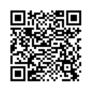 Китай приветствует решение Нидерландов приостановить действие распоряжения о контроле над Nexperia -- Минкоммерции КНР /более подробно/