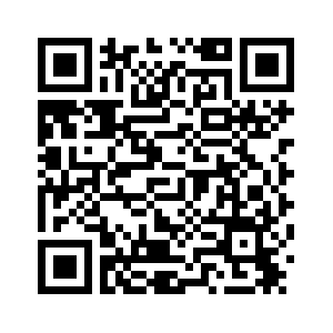 В Минске прошли праздничные мероприятия по случаю 100-летия Белорусского радио