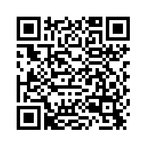 Российский детский музыкальный театр "Домисолька" в год своего 35-летия отправится на гастроли в Китай