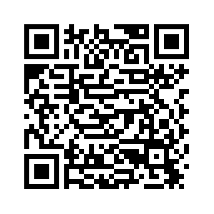 В 2025 году объем пассажиропотока Китайско-казахстанского международного центра приграничного сотрудничества "Хоргос" составил более 9 млн человеко-раз