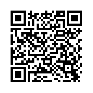 Китай приветствует решение Нидерландов приостановить действие распоряжения о контроле над Nexperia -- Минкоммерции КНР