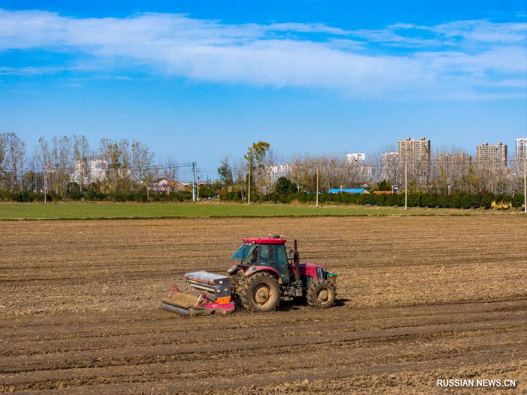В Китае по всей стране было посеяно более 90 проц. озимой пшеницы