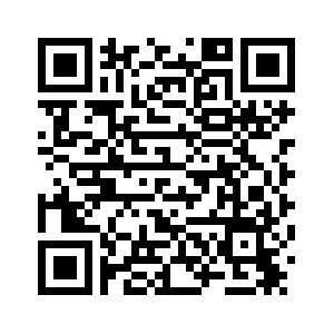 Президент Кыргызстана встретился с главой МИД КНР