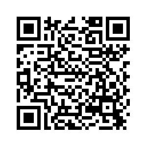 Босния и Герцеговина подтвердила приверженность принципу одного Китая и резолюции 2758 ГА ООН