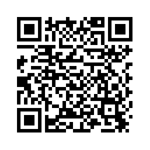 Венгрия стремится избежать участия в финансовых схемах, связанных с Украиной -- премьер-министр