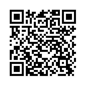 Специальный репортаж: В Хуньчуне зарождается новая цифровая приграничная торговля