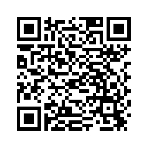 В г. Хэйхэ открылось спецмероприятие по продвижению проектов трансграничной торговли между Китаем и Россией