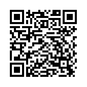 Главы МИД Китая и Египта обсудили по телефону двусторонние отношения и палестинскую проблему