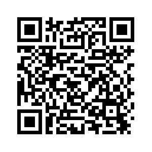 Первый в Новом году международный грузовой спецпоезд из провинции Ганьсу отправился в Узбекистан