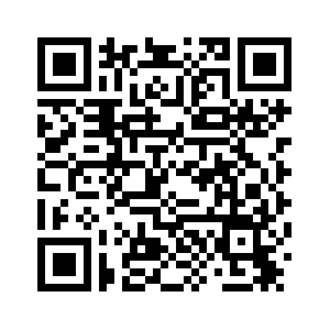 Железнодорожный транспорт Китая с 1 по 3 января перевез более 48 млн пассажиров