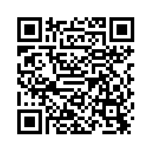 Китай призывает США немедленно освободить президента Венесуэлы Николаса Мадуро и его супругу /подробная версия-1/