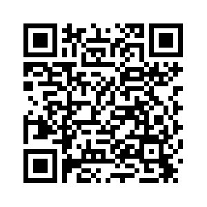 Китай неизменно выступает против навязывания одной страной своей воли другой стране -- глава МИД КНР о ситуации в Венесуэле /более подробно/