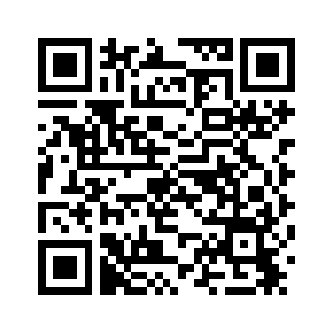 В Пекине начал работу Исследовательский центр по производительным силам нового качества Китай-БРИКС