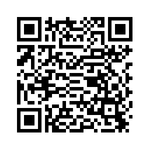 Член Постоянного комитета Политбюро ЦК КПК указал на необходимость прочных идеологических гарантий и мощной духовной силы для осуществления модернизации в китайском стиле