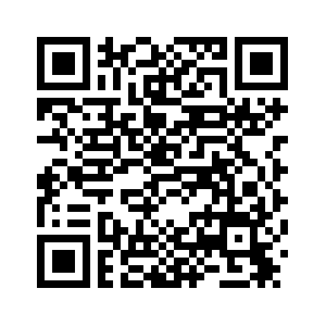 Верховный суд Гвинеи подтвердил победу М. Думбуя на президентских выборах