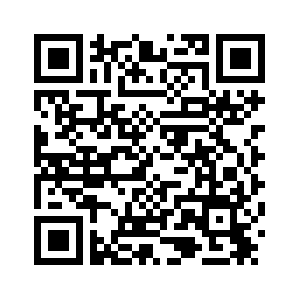 Китай убежден, что Венесуэла будет должным образом управлять своими внутренними делами -- МИД КНР /более подробно/