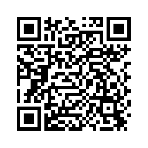 Глава МИД Ирландии назвала таможенные пошлины, которыми угрожают США, "совершенно неприемлемыми"