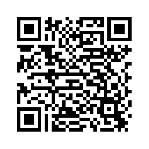 В двух областях Чили объявлено чрезвычайное положение после гибели в лесных пожарах 16 человек