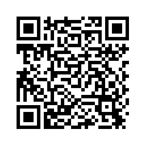 Более 110 праздничных мероприятий пройдут в Санкт-Петербурге по случаю китайского праздника Весны