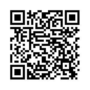 Президент Казахстана призвал ускорить реализацию инвестпроектов и активизировать привлечение инвестиций