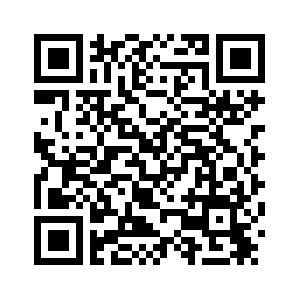 В Ленинградской области России ликвидирована нарколаборатория по синтезу метадона