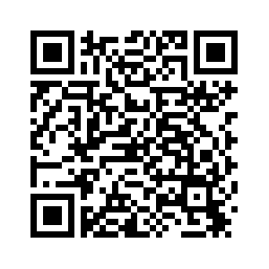 Президенты России и ЮАР провели телефонный разговор