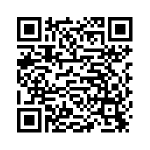 Монеты 8-12 веков обнаружены на юге Казахстана