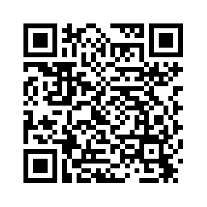 Глава МИД РФ поздравил китайский народ с наступающим Новым годом по лунному календарю
