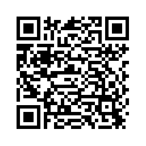 Четырех фигурантов дела о покушении на генерал-лейтенанта В. Алексеева обвинили в терроризме -- СК РФ