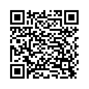 Не менее 3 мигрантов погибли при крушении лодки в Эгейском море -- Береговая охрана Турции