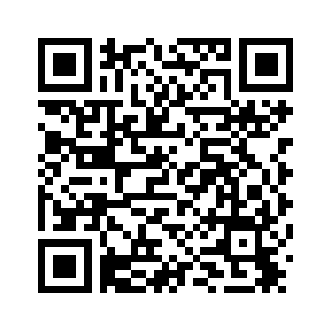 Китай и Аргентина пообещали укреплять взаимную поддержку в вопросах, затрагивающих коренные интересы