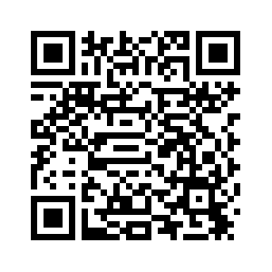Си Цзиньпин поздравил всех китайцев с грядущим праздником Весны /подробная версия-2/