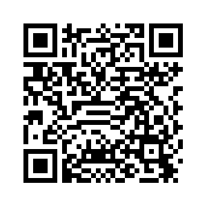 Департамент миграции МВД Грузии за год выдворил больше нелегалов, чем за десять лет