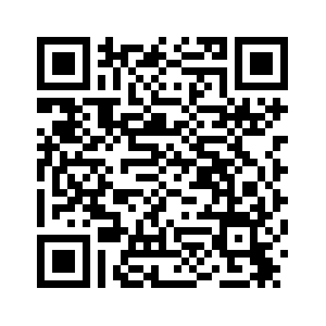 Китай призвал к диалогу в целях достижения мира в Украине