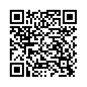 Более 285 млн межрегиональных пассажирских поездок ожидается в Китае в первый день каникул по случаю праздника Весны