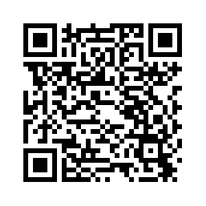 Премьер Госсовета КНР подчеркнул важность обеспечения безопасности в ключевых секторах и сфере услуг во время праздника Весны /более подробно/