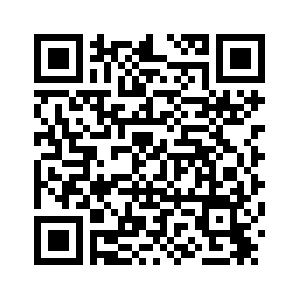 Дипломаты Китая и России высоко оценили результаты двустороннего сотрудничества