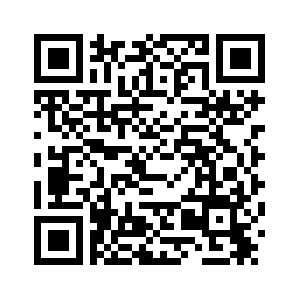 По меньшей мере 11 человек погибли в результате израильских ударов по сектору Газа -- Служба гражданской обороны