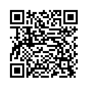 На переговорах в Женеве будут обсуждать территориальные вопросы -- пресс-секретарь президента РФ
