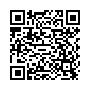 В результате взрыва в магазине фейерверков в Центральном Китае погибли 12 человек /подробная версия-1/