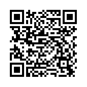 В результате взрыва в магазине фейерверков в Центральном Китае погибли 12 человек