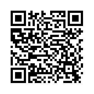 В Москве запустили тематический поезд в честь китайского Нового года