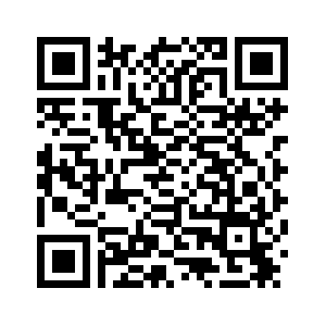 На мирных переговорах в Женеве достигнут прогресс по некоторым вопросам -- В. Зеленский