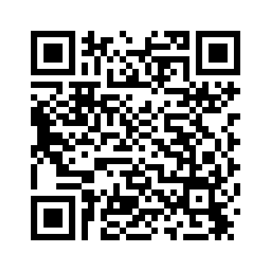 Группа друзей глобального управления призывает к соблюдению Устава ООН и международного правопорядка