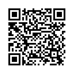 Глава МИД Ирана обсудил процесс непрямых переговоров с США с коллегами из Египта и России