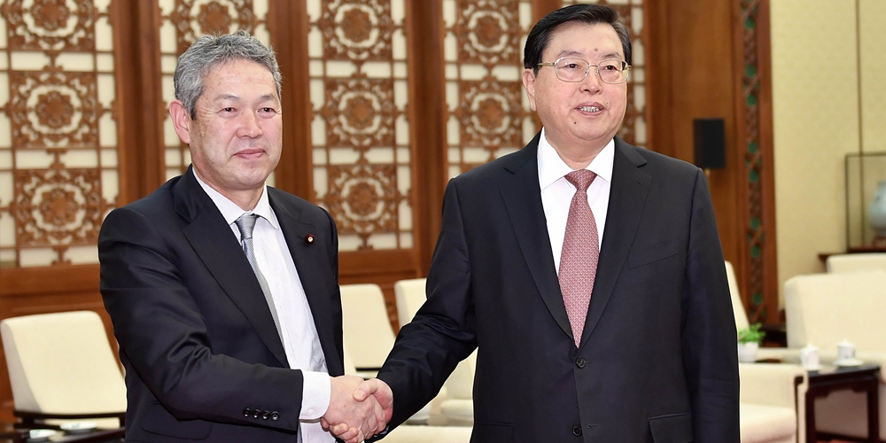 Чжан Дэцзян провел встречу с делегацией палаты представителей Японии
